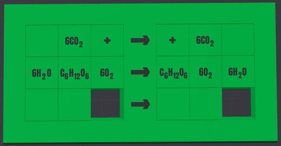Sliding Puzzle for Cellualr Respiration and Photosynthesis