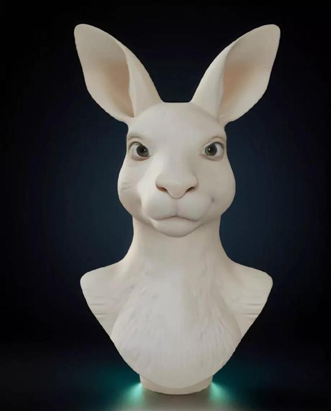 Kangaroo Head Bust 3D Model STL Printable Australian Wildlife