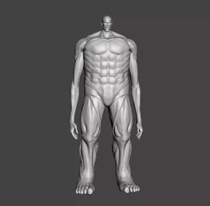 Colossal Titan 3D Model