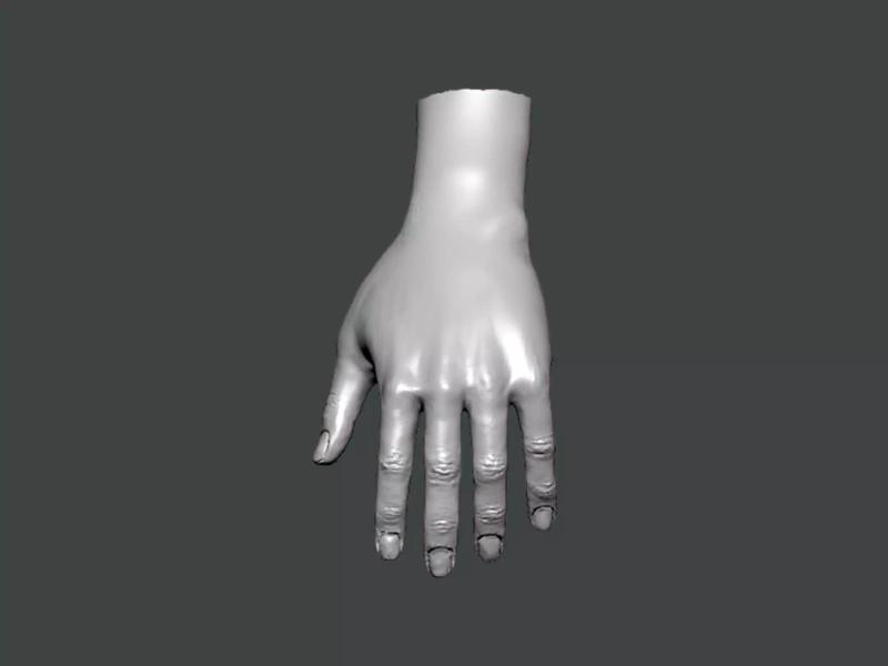 3D Model-HAND0003 hand