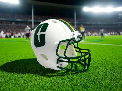 UNCC Football Helmet