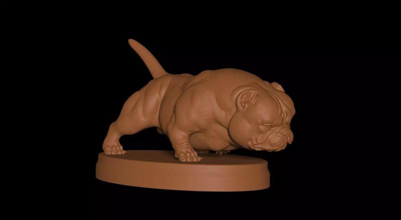 Exotic Bully
