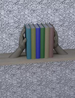 Shelf Book Holder