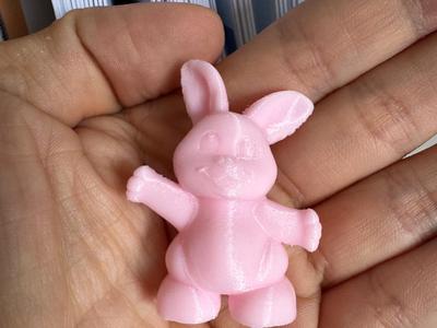 Little Bunny Standing Rabbit