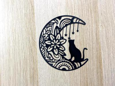 cat on the moon