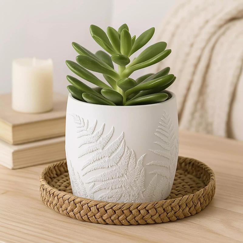 Fern Plant Pot with Drainage No Supports Natural Planter