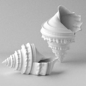 Shell Planter