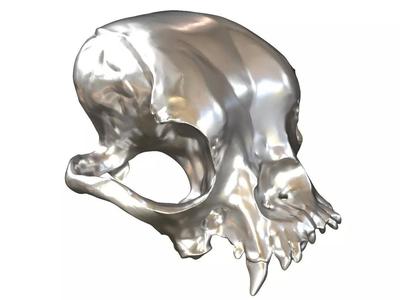 Cranium Charm Bulldog