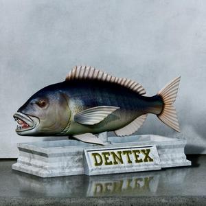 fish Common dentex / dentex dentex open mouth statue detailed texture for 3d printing