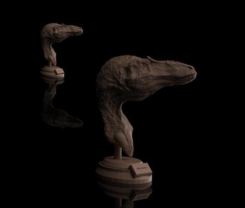 Alioramus Dinosaur Bust