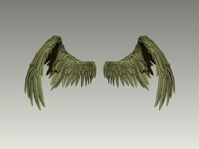 Wing Model 16