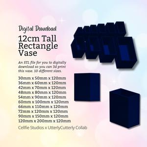 12cm Tall Rectangle Vase STL File - Digital Download -10 Sizes- Homeware, Minimalist Modern Design