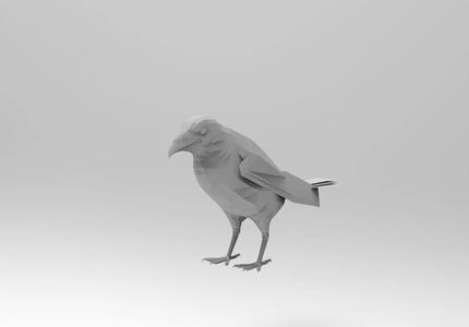 Crow - Cuevo