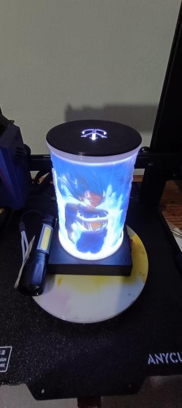 LITHOPHANE VEGETATION