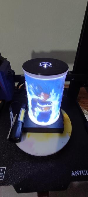 LITHOPHANE VEGETATION