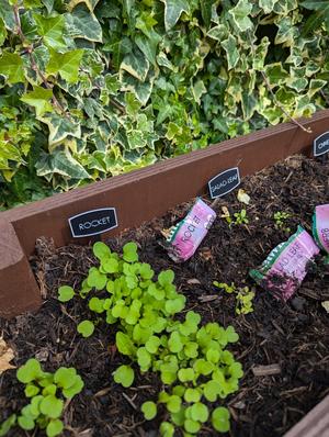 Herb garden labels / signs