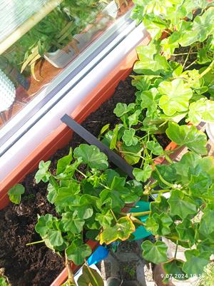 Balcony flowerpot spacer 180mm