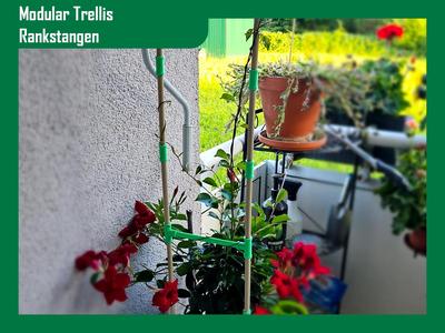 Modulare Trellis / Rankstangen / Plant Support