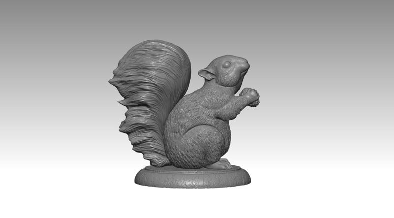 SQUIRREL MODEL 2