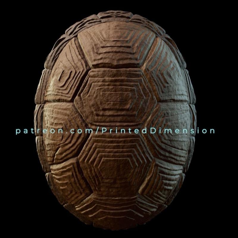 Ninja Turtle Shell
