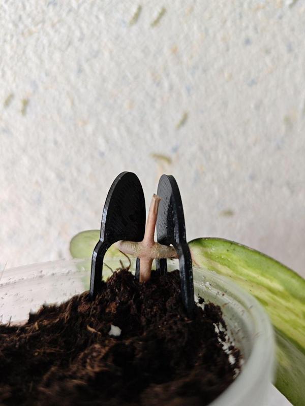 Plant Rooting Support Pin
