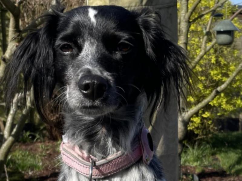 baic phone stand really good