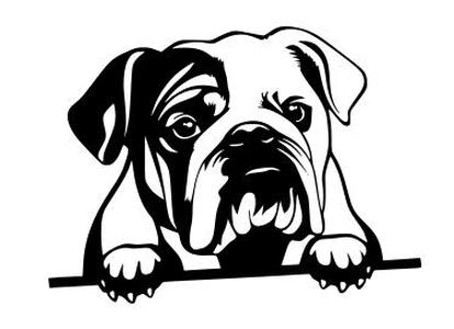 English Bulldog Peeking Dog Wall Decoration