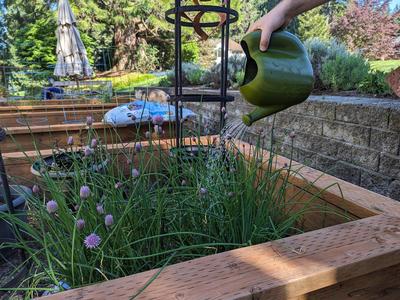 Ergonomic Watering Can - Shower Style Spout