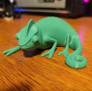 Big Eyes Crested Chameleon