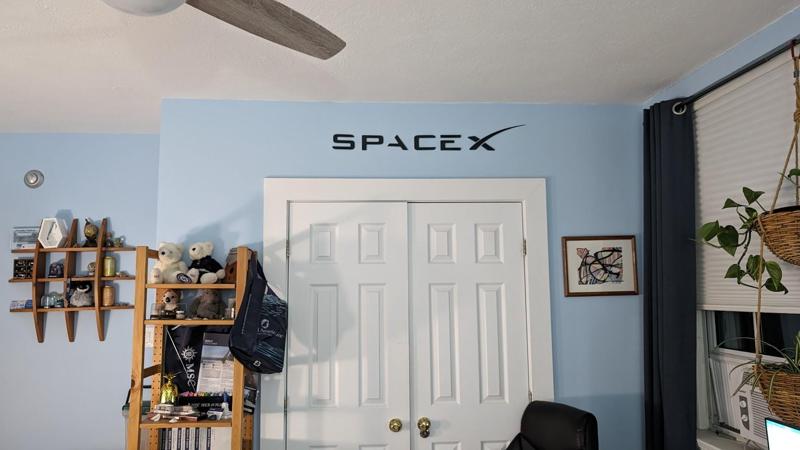 Space X Logo Wall Art