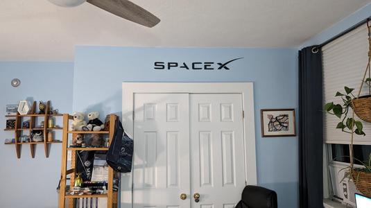 Space X Logo Wall Art