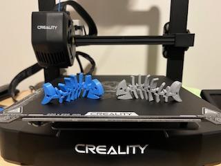 Articulated Skeleton Flexi Fish