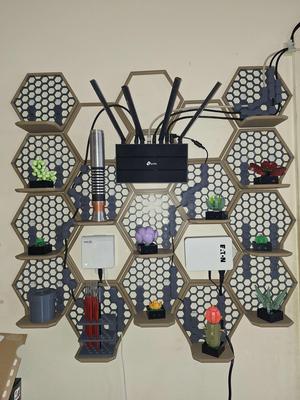 HSW Insert for Display Shelf Wall Assembly