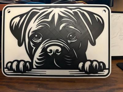 Cane Corso