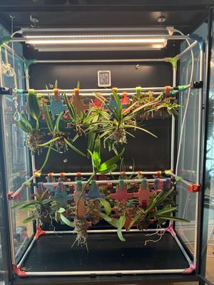 Link Based Orchid Mounting System