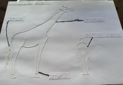 Tactile image: giraffe (side) with a human