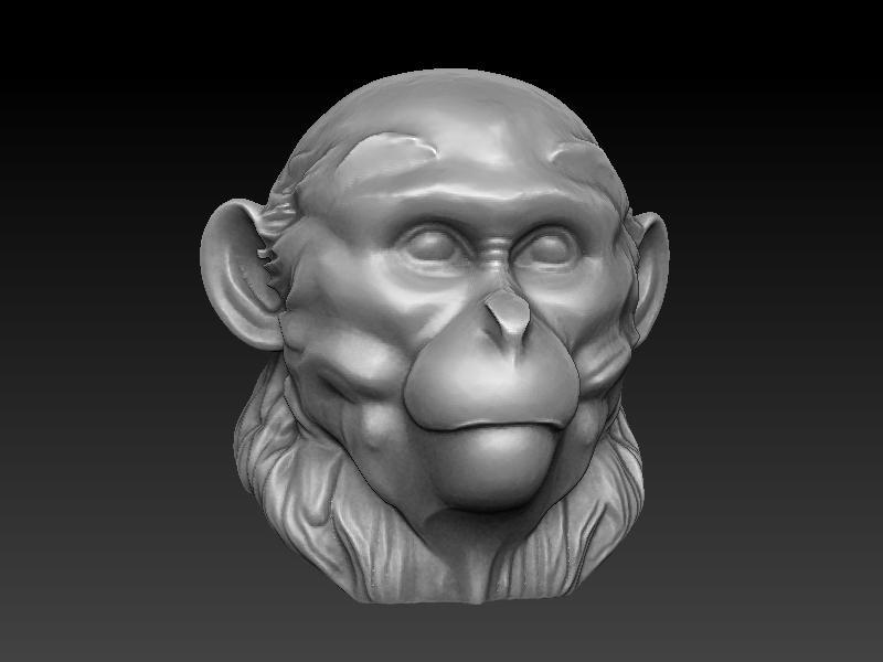 Monkey Head