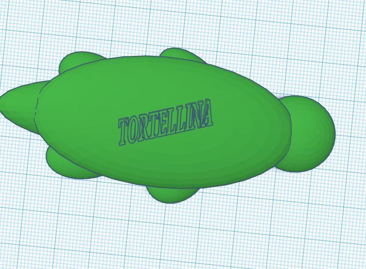 turtle named tortellina