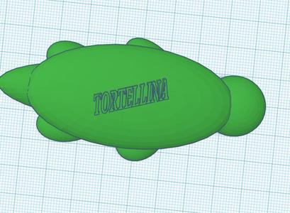 turtle named tortellina