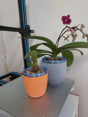 Basket Planters for elho's Brussels Ø10cm & Ø13cm