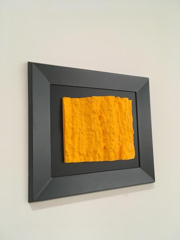 Zumar Dilindari / Fluttering Elm / Olmo Temblón / Ulmus laevis