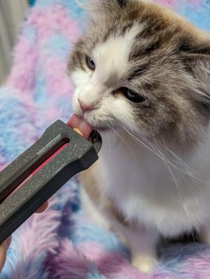 Improved Dispenser for Lickable Cat Treats