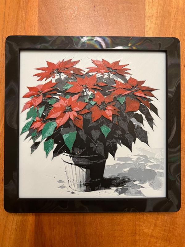 Christmas Poinsettia