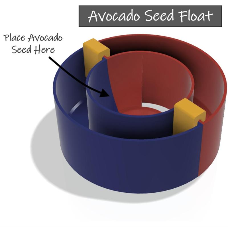 Avocado Seed Boat Float