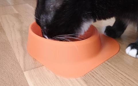 Kitty Food Bowl