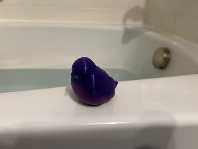 Wibble Wobble Bird Bath Toy