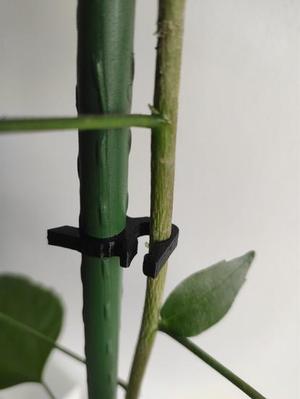 Plant holder for garden supports 11mm