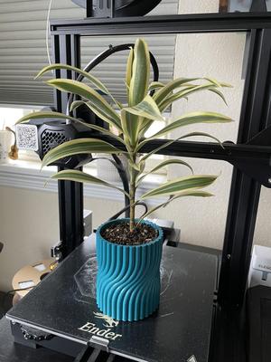 Planter - Mid Twist