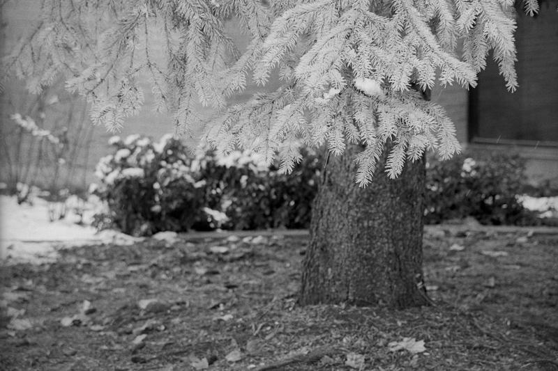 Instant Mytol Developer Capsule