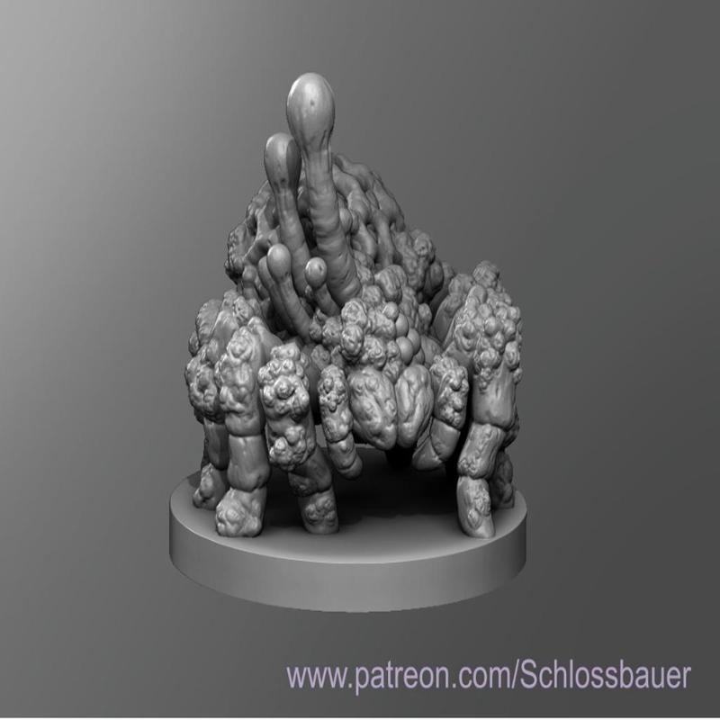 Fungus Spider